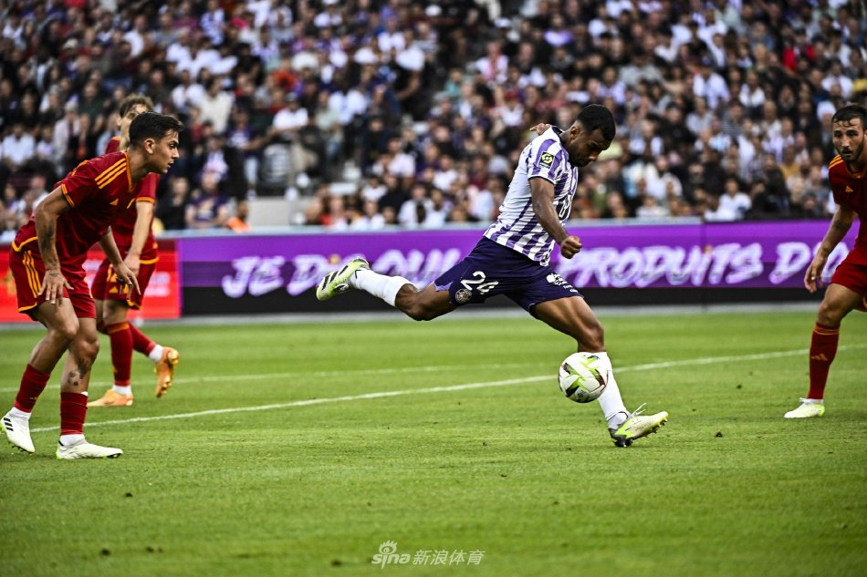 维蒂的观点 维蒂的观点